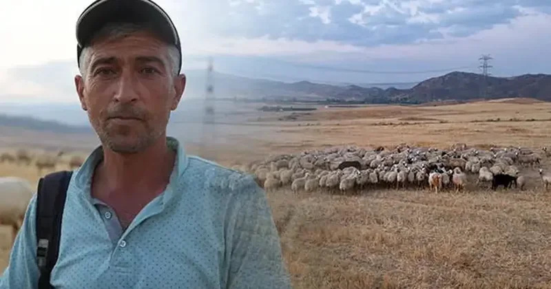 Tüm ilçe bu olayı konuşuyor! Sürünün içinden ihanet çıktı