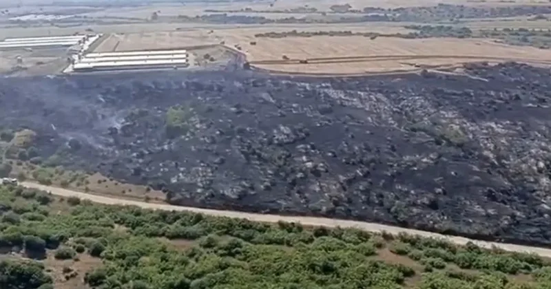 Karacabey’de makilik alandaki yangın fabrikaya ulaşmadan söndürüldü