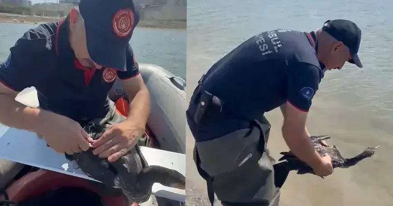 Sazlıbosna Barajı’nda balıkçının misinasına dolanan karabatak itfaiye ekiplerince kurtarıldı