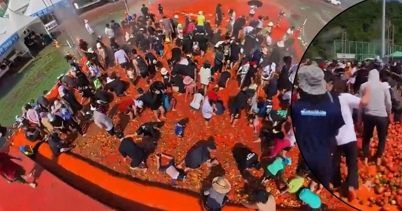 Güney Kore de 44 ton domates arasında altın yüzük arayışı Sözcü Gazetesi