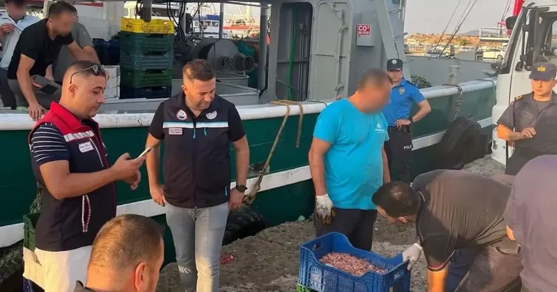 Enez’de trol teknelerine sıkı denetim