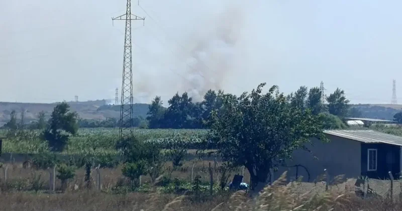 Karacabey’de makilik alanda orman yangını