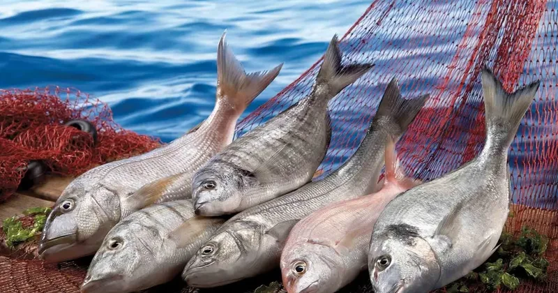 Muğla ihracatı Temmuz ayında yüzde 9 arttı