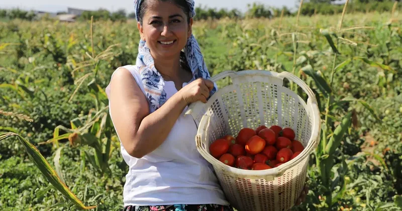 Eczanede başlayan mesaisi tarlada bitiyor