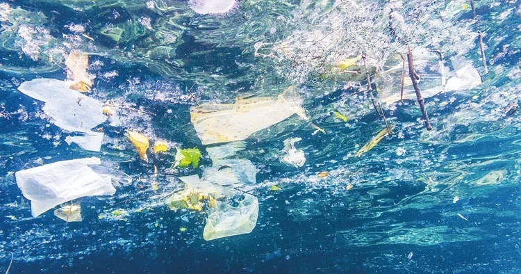 Akdeniz’de plastik alarmı! Akıntılarla Alanya’ya taşınıyor