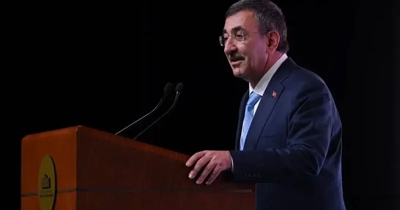 Cumhurbaşkanı Yardımcısı Cevdet Yılmaz: Abdullah Öcalan düzenleme kapsamında değil