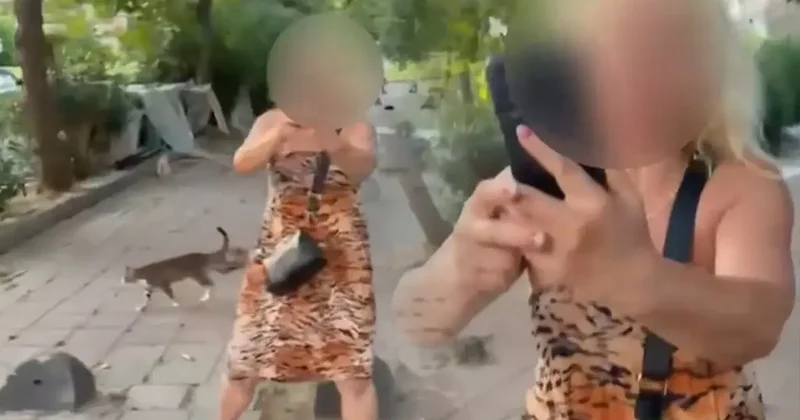 Sokak kedilerini beslemek için yolu kapatan kadın gözaltında