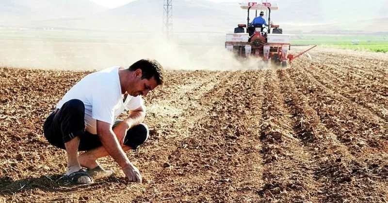 Çiftçilere destek yağmuru! Resmi Gazete de yayımlandı, ödemelerde yüzde 100 e varan artış
