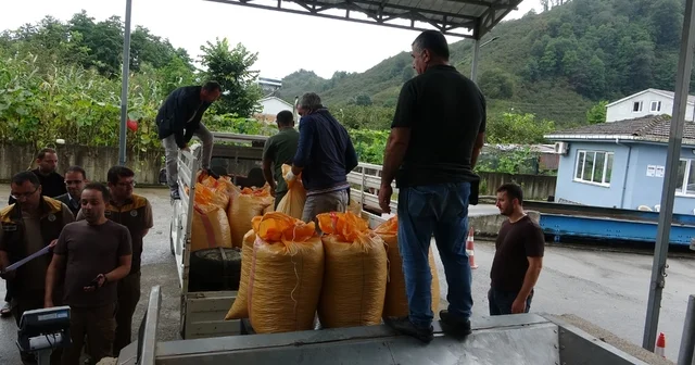 Fındıkta randıman alım fiyatını yükseltiyor TMO nun Giresun kalite fındık için açıkladığı 255 liralık taban fiyat, randıman farkıyla birlikte 275 280 liraya kadar yükseliyor Giresun Haberleri Habertürk Yerel Haberler