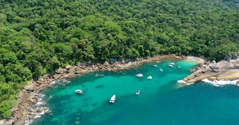 Dünyanın en büyük nehir adası: Tam 19 bin kilometrekare Sözcü Gazetesi