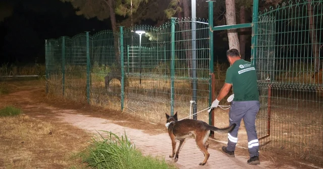 Büyükşehir ekipleri yangında can dostlar için seferber oldu Alevlerden etkilenen 105 köpek kurtarılıp güvenli bölgeye alındı Yaralanan ve dumandan etkilenen köpekler büyükşehir barınma merkezine getirildi Antalya Haberleri Habertürk Yerel Haberler