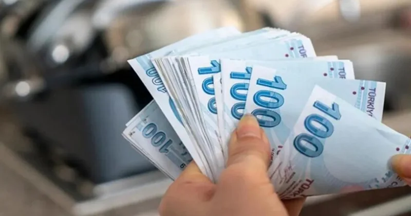 Türk lirasına tam destek! Yeni OVP döneminde TL cinsinden yatırım araçları teşvik edilecek