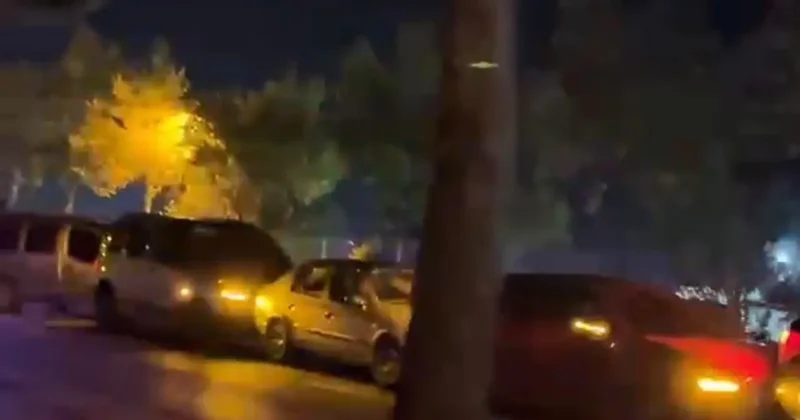 Bolu da yola fırlayan köpekler trafiği birbirine kattı: 5 araç birbirine girdi