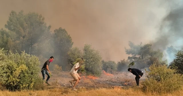 Aksu daki orman yangınının kontrol altına alma çalışmaları devam ediyor Sabah saatlerinde hava destekli müdahale tekrar başladı Antalya Haberleri Habertürk Yerel Haberler