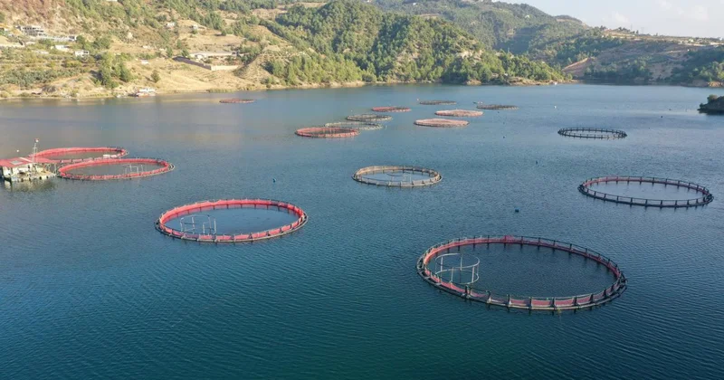 Su ürünleri ihracatı 9 ayda 1,8 milyar dolara ulaştı