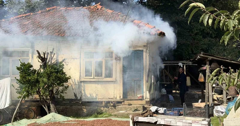 Bir ili korkutan istila! Vatandaşlar evlerine giremez oldu