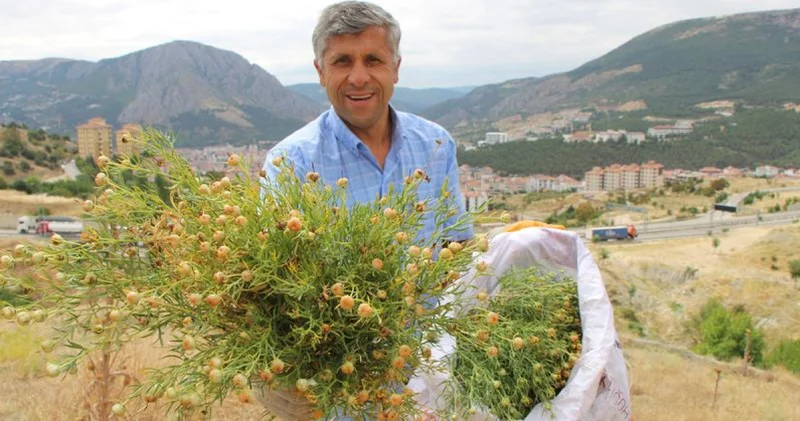 Nazardan koruduğuna inanılıyor, 60 liradan satılıyor