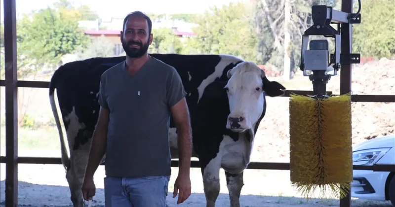 e Devlet ten başvuru yaptı, süt çiftliği sahibi oldu!