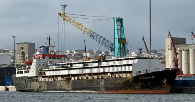 Denetimsiz büyükbaş hayvan yüküyle Bandırma’ya demirledi Sözcü Gazetesi