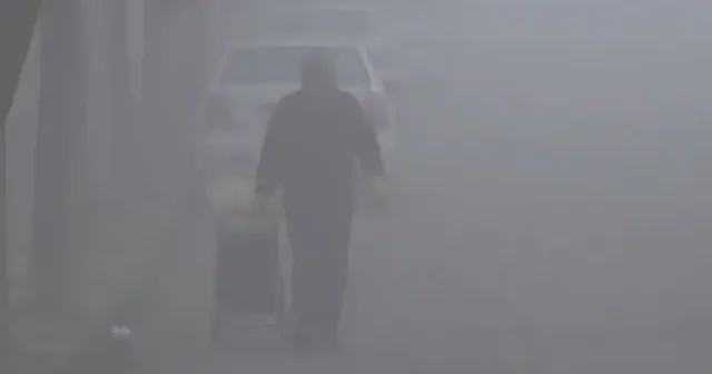 Edirne Keşan da yoğun sis etkili oldu VİDEO İZLE