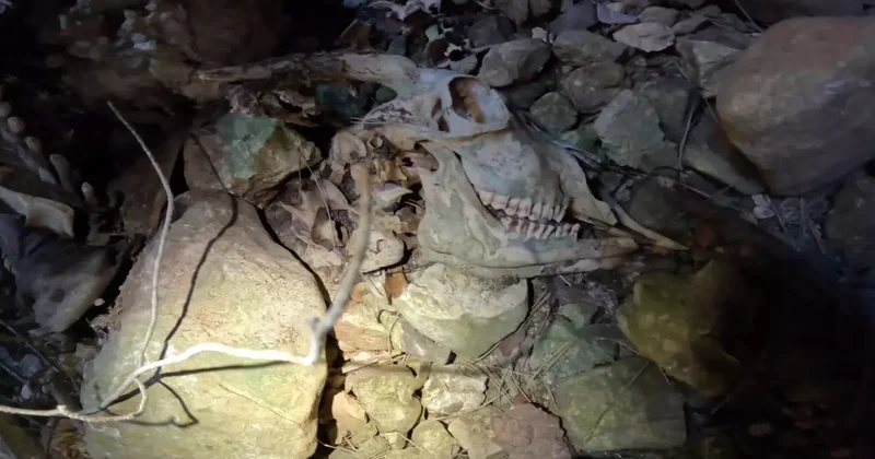 Fenomen İnersen çıkamazsın denilen 90 metrelik çukura girdi! Aşağı gördükleri korkunç