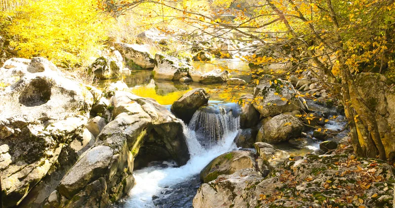 İçinden sonbaharın geçtiği kanyon: Horma