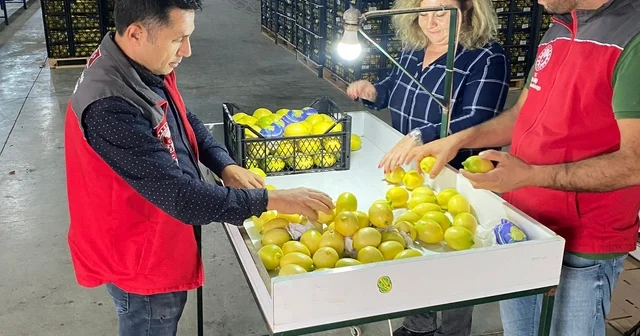 Ortaca da ihracata giden ürünlere onay Muğla Haberleri