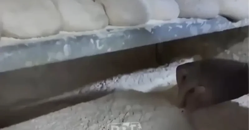 İstanbul da ekmek fırınında mide bulandıran görüntüler