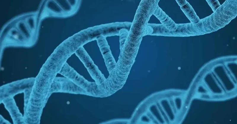 Nobel Ödüllü Watson 97 Yaşında Hayatını Kaybetti