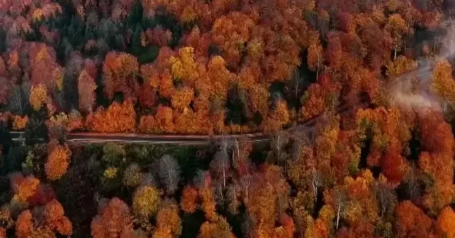 Kartepe sonbahar renkleriyle büyüleyici manzaralar sunuyor VİDEO İZLE