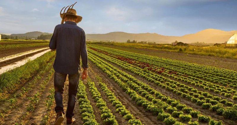 Tersine göç başlıyor: Köye dönene hibe desteği geliyor!