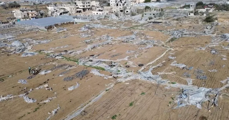 Gazze de Tarım Arazileri Büyük Oranda Zarar Gördü