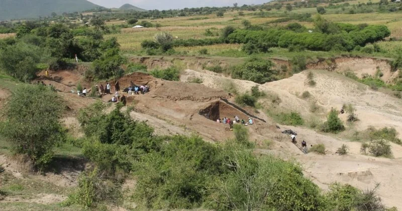 İnsanlık tarihini değiştirecek DNA a keşfedildi Sözcü Gazetesi