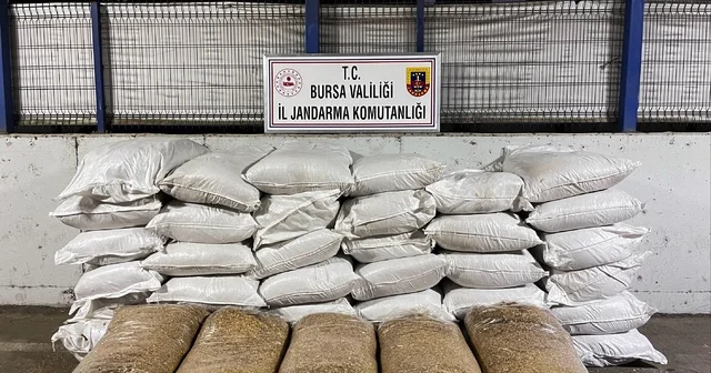 Bursa da jandarmadan kaçak tütün operasyonu; 5 gözaltı Bursa Haberleri