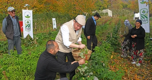 Osmangazi de Üzümsü Meyvelerde Organik Tarım Seferberliği Osmangazi de İlk Hasat Başkan Aydın dan Başkan Aydın: Çiftçilerimiz Örnek Bir Çalışma Ortaya Koydu Bursa Haberleri