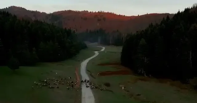 İnönü Yaylası sonbaharın tonlarıyla renklendi VİDEO İZLE