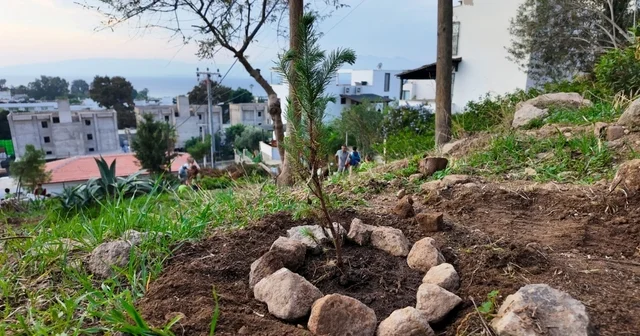 Bodrum Belediyesi çocukları doğayla buluşturdu Muğla Haberleri