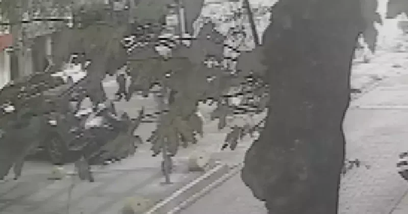 Kedi Beslerken Darbedildi