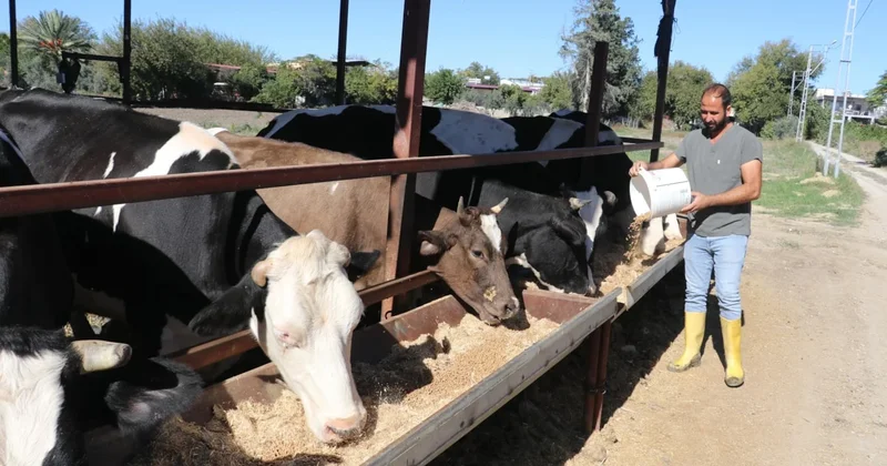 e Devlet ten başvurdu şimdi çiftliği var Sözcü Gazetesi