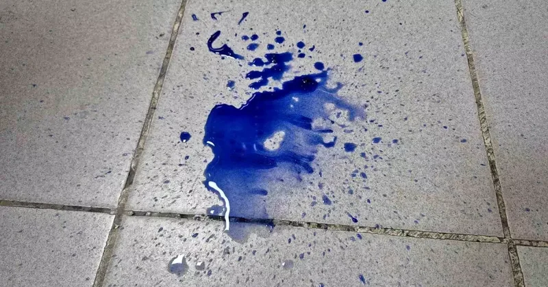 Pamuk şekeri zehirlemeye neden oldu