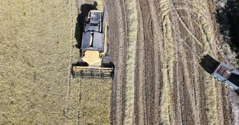 TMO’dan arpa ve mısır ithalatı açıklaması: Karar yeni değil, kontenjan güncellemesi Sözcü Gazetesi