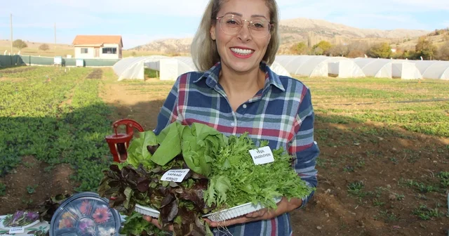 İstanbul dan köyüne dönen gıda mühendisi kadın yeşil mirası renklendirdi Amasya Haberleri