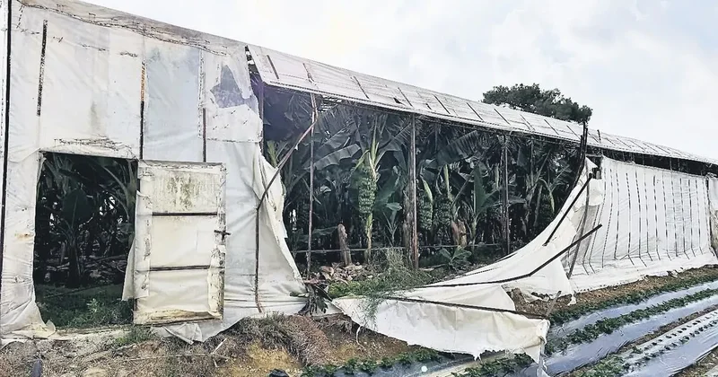 Hortum seraları vurdu