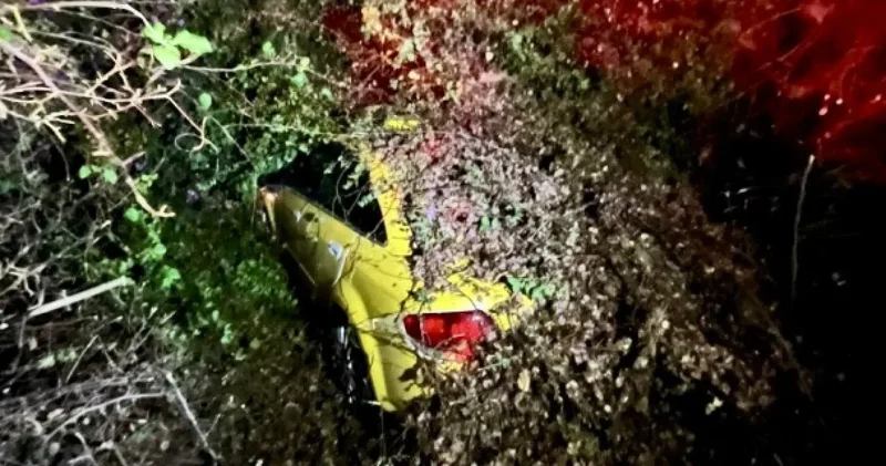 Seyir halindeki aracın üstüne ağaç düştü: Sürücü mahsur kaldı