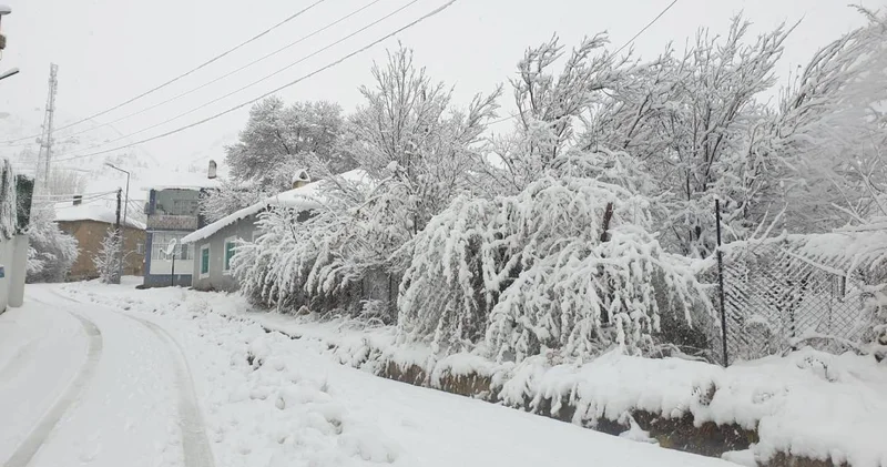 Van da 11 yerleşim yerine kar engeli