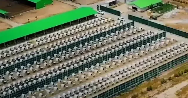 Tarım ve Orman Bakanlığı paylaştı: Başka bir ülke değil kendi üretim üssümüzden VİDEO İZLE