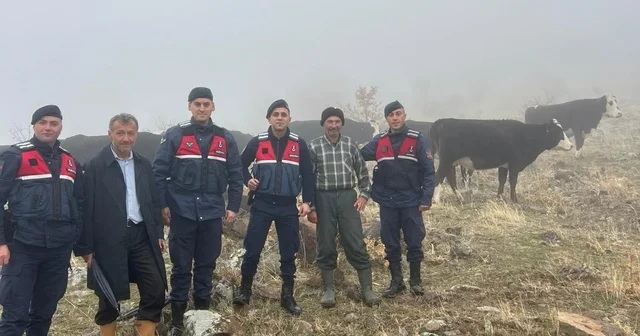 Hayvanları kaybolan kişinin imdadına jandarma yetişti Konya Haberleri