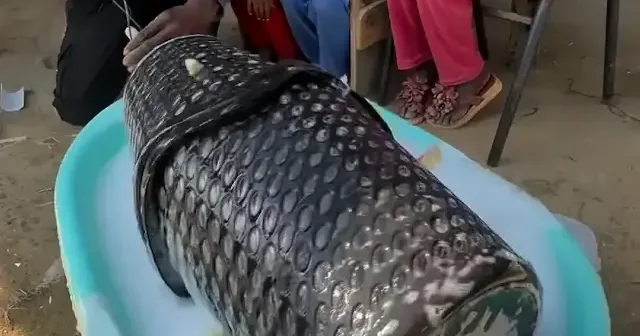 Gazze de genç mucit elektriksiz çamaşır makinesi geliştirdi VİDEO İZLE