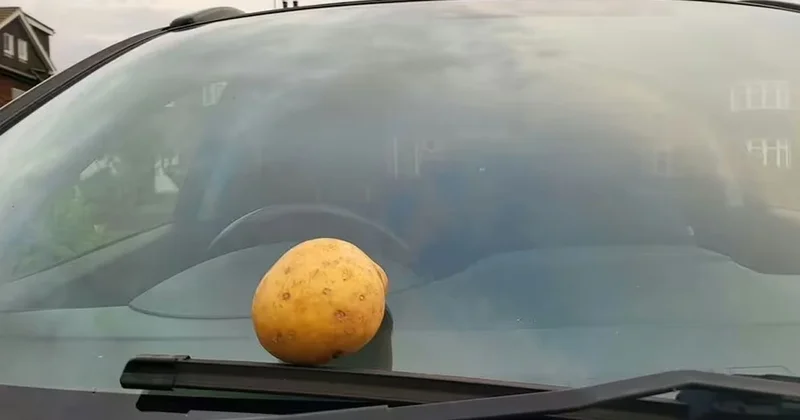 Şiddetli yağmurlarda arabanıza patates sürün çağrısı Sözcü Gazetesi