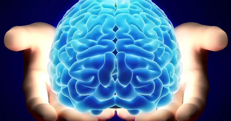 Nörologlar beyin için en zararlı 6 gıdayı açıkladı